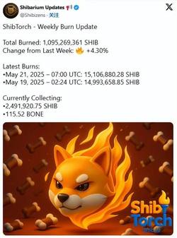 加密市场火爆！SHIB销毁量狂飙11899%，惊人涨幅震撼币圈！