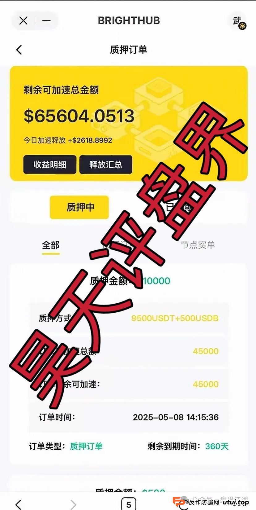 贝虎金融被国家认可吗？贝虎金融质押分红资金盘骗局曝光！