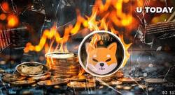 加密市场火爆！SHIB销毁量狂飙11899%，惊人涨幅震撼币圈！