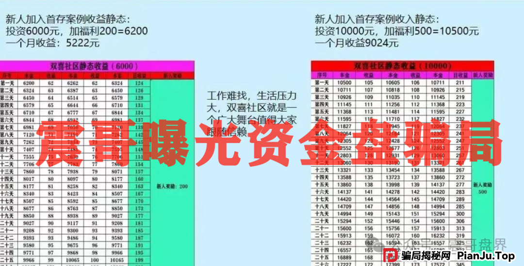 双喜社区彩票资金盘骗局！已经单割，即将崩盘跑路