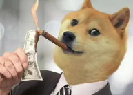 狗狗币(DOGE)今夜决战0.17美元：守住即暴涨300%！最新行情深度解析