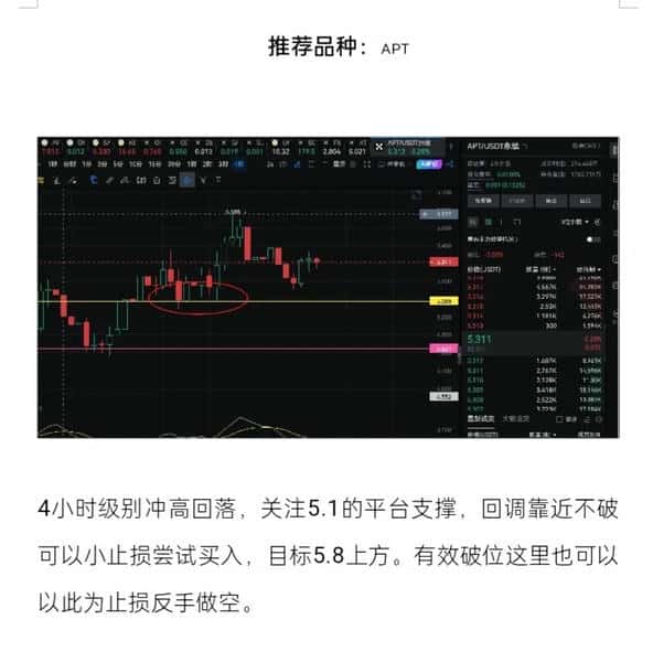 多头回调！山寨币补涨机会来了？