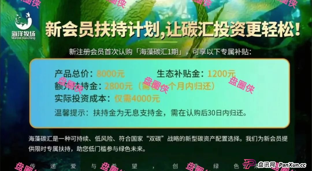 9月23日曝光:最新资金盘骗局《海洋牧场,ARK,olga欧嘉,e充电,CFXH-DAO》随时可能卷钱跑路 9月23日曝光:最新资金盘骗局《海洋牧场,ARK,olga欧嘉,e充电,CFXH-DAO》随时可能卷钱跑路