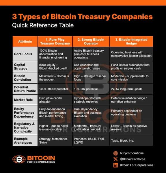 迈克尔·塞勒揭秘：三种比特币金库公司模型！